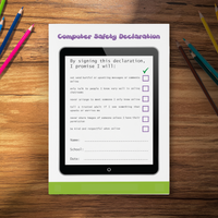 Computer Safety Declaration